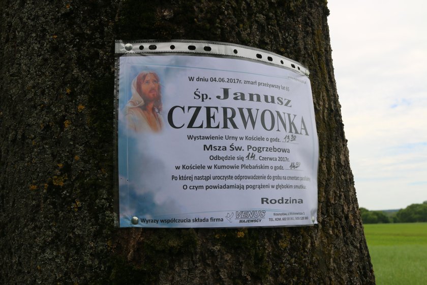 Pies czekał na zgliszczach spalonego domu na swojego pana