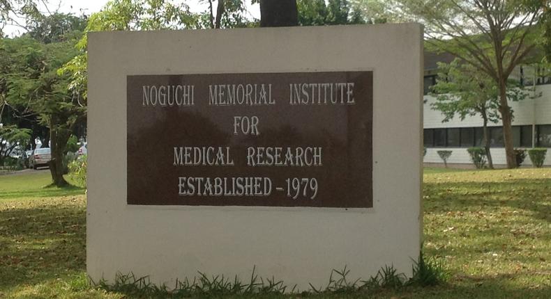 Noguchi begins testing of herbal medicines for COVID-19 