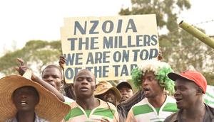 Nzoia Sugar fans  during their past match against AFC Leopards (Image: Nzoia Sugar)