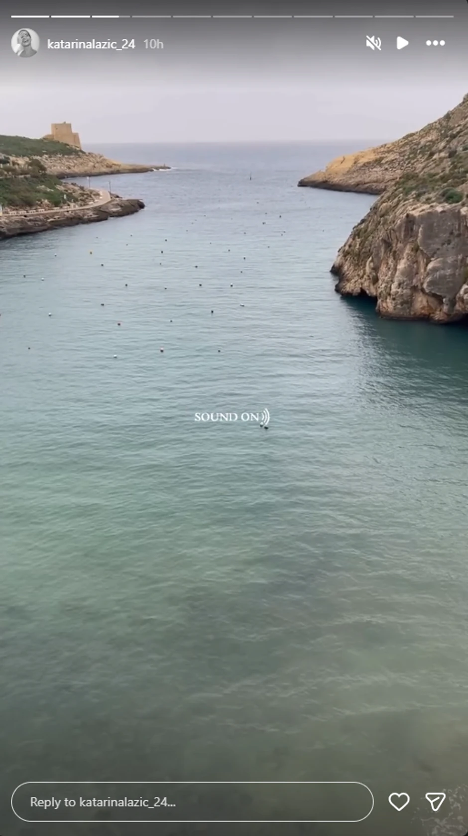 Katarina Lazić, objava