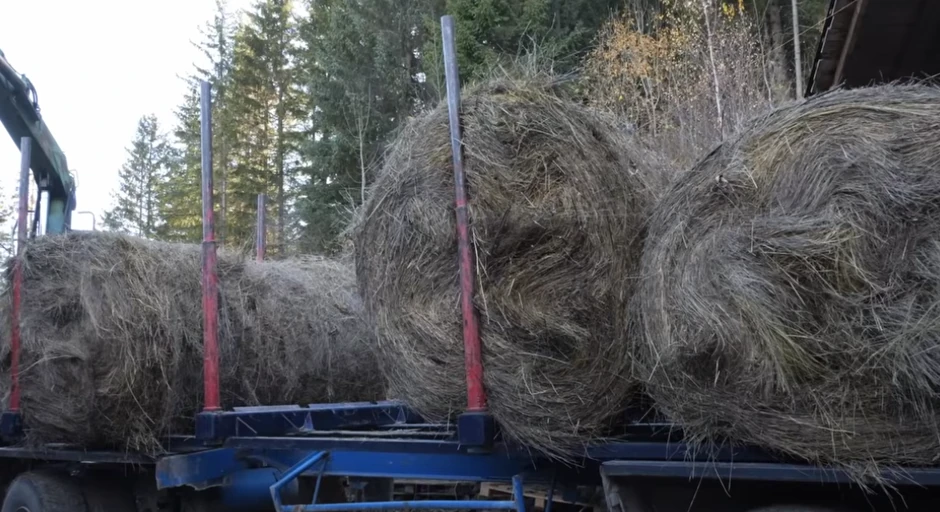 Farma Jove Vujinovića