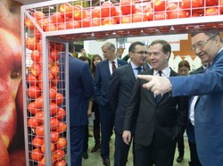 "Polacy jedzą jabłka i nasze świnie też." Rosja pokazuje, że sankcje jej niestraszne