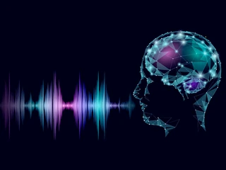 Voiceboty wykorzystują uczenie maszynowe (ML), automatyczne rozpoznawanie mowy (ASR) i przetwarzanie języka naturalnego (NLP) do rozmów z ludźmi. Technologia ta, ma na celu upodobnienie rozmów do interakcji z ludźmi poprzez analizę intencji i znalezienie odpowiednich odpowiedzi.