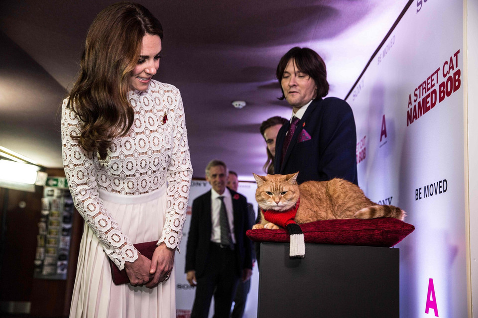 Kate Middleton na premierze filmu "A Street Cat Named Bob"