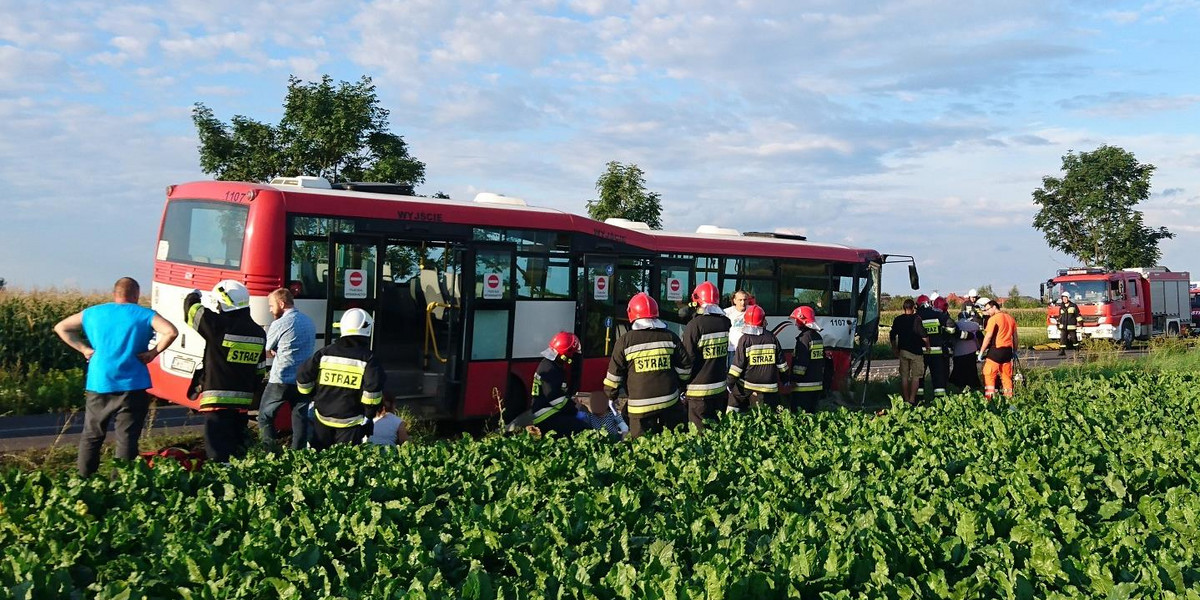 Smardzów. Autobus wpadł do rowu