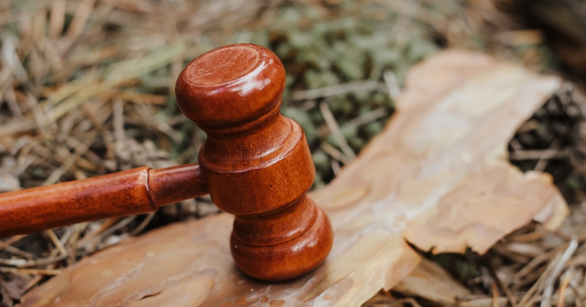 Walka z wylesianiem może znowu zostać przełożona