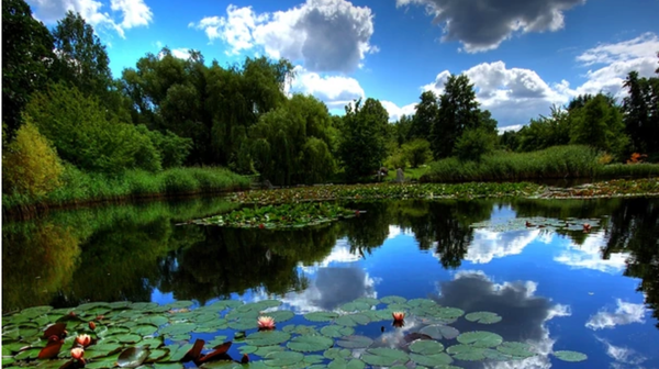 Najbardziej zielona część łódzkiego Polesia od dawna przyciąga mieszkańców pragnących odetchnąć od zgiełku wielkiego miasta, jednak niekoniecznie słyszeli o niej turyści. Dlaczego warto zejść z utartego szlaku i odwiedzić tę część Łodzi?