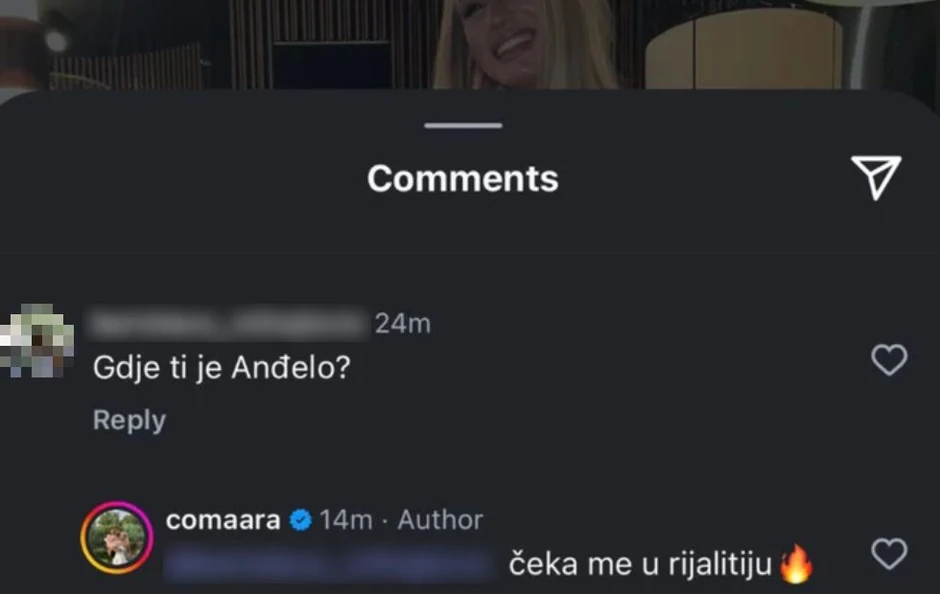 Komentar, Milica Veličković