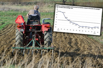 Ostre spadki cen produktów rolnych. Tylko w jednym przypadku duży wzrost