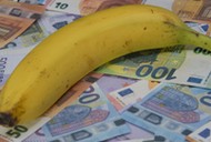 Unia reguluje kształt bananów i ogórków?