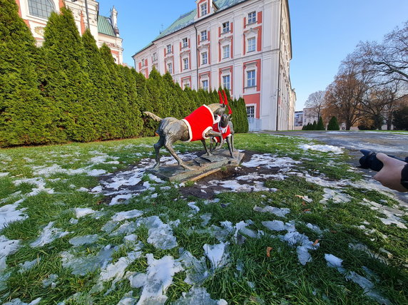 koziołki w świątecznych ubrankach fot. Codzienny Poznań