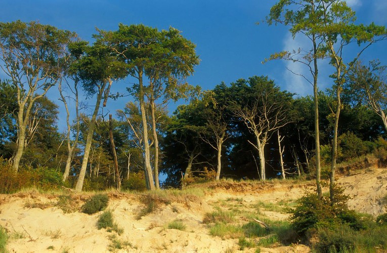 Najpiękniejsze krajobrazy Polski