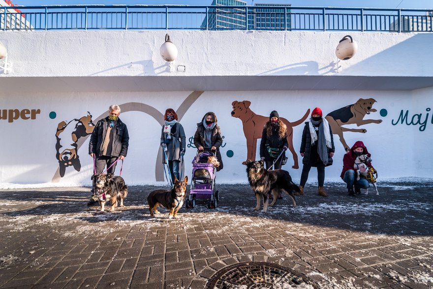 Rasowy Kundel. Charytatywny mural powstał w centrum Warszawy!