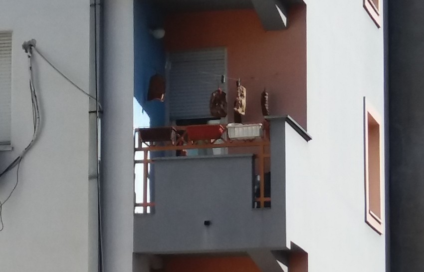 Sunke na terasi u Novom Sadu