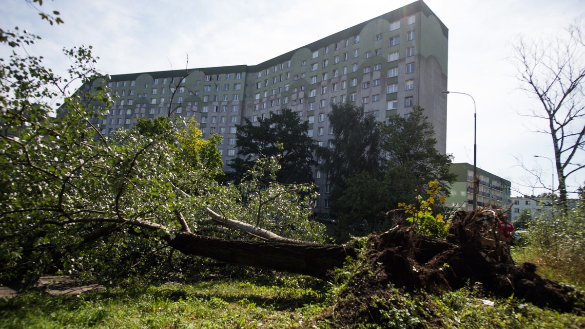 Prawie 5 tys. razy wyjeżdżali wczoraj i dziś strażacy do zdarzeń związanych z burzami i silnym wiatrem - poinformował rzecznik PSP st. bryg. Paweł Frątczak. Jak dodał, zginęła jedna osoba, a cztery zostały ranne.