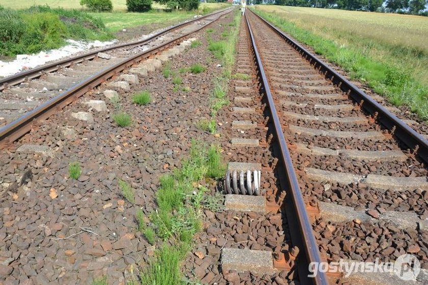 Pociąg wypadł z torów. Wagony leżą w rowie