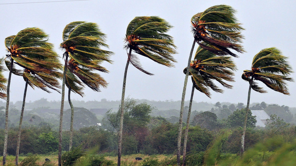 Szalejąca nad Karaibami burza tropikalna przekształciła się w huragan i w ciągu doby będzie przybierać na sile - poinformowało amerykańskie Krajowe Centrum ds. Huraganów (NHC).
