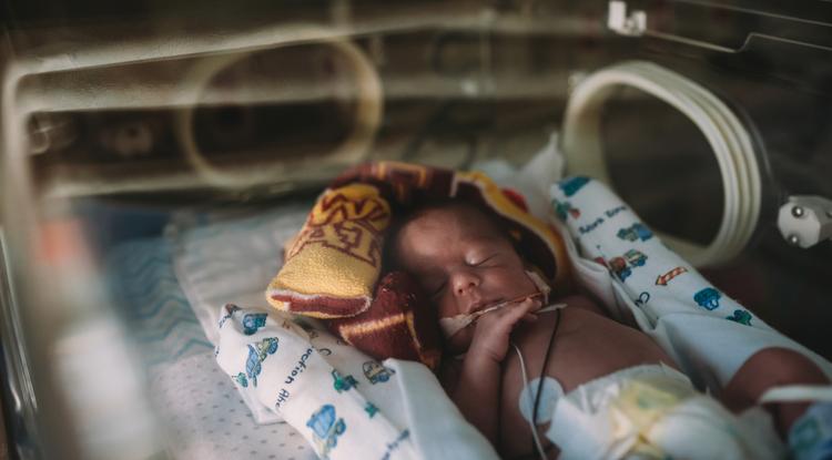 Inkubátorban fekvő csecsemő, a kép illusztráció