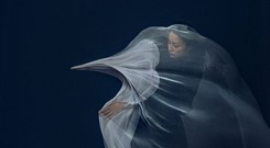 Natalia Przybysz przedstawia 'Ciepły wiatr' i zapowiada ekologicznie wydany album 'Jak malować ogień'