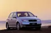 7. Skoda Fabia (2,4 proc.)