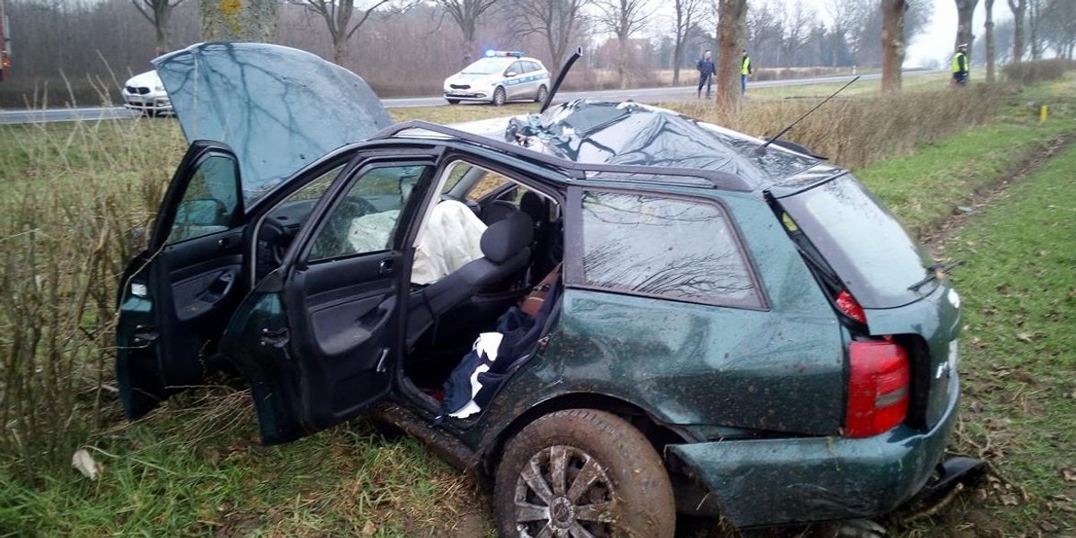 Audi uderzyło w drzewo. Kierowca walczy o życie, jego pies zginął