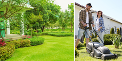 Chcesz mieć piękną murawę bez wysiłku? Oto trawnik, który zadba sam o siebie