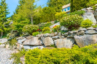 Podatek od nieruchomości: Problem z gruntami zadrzewionymi i zakrzewionymi