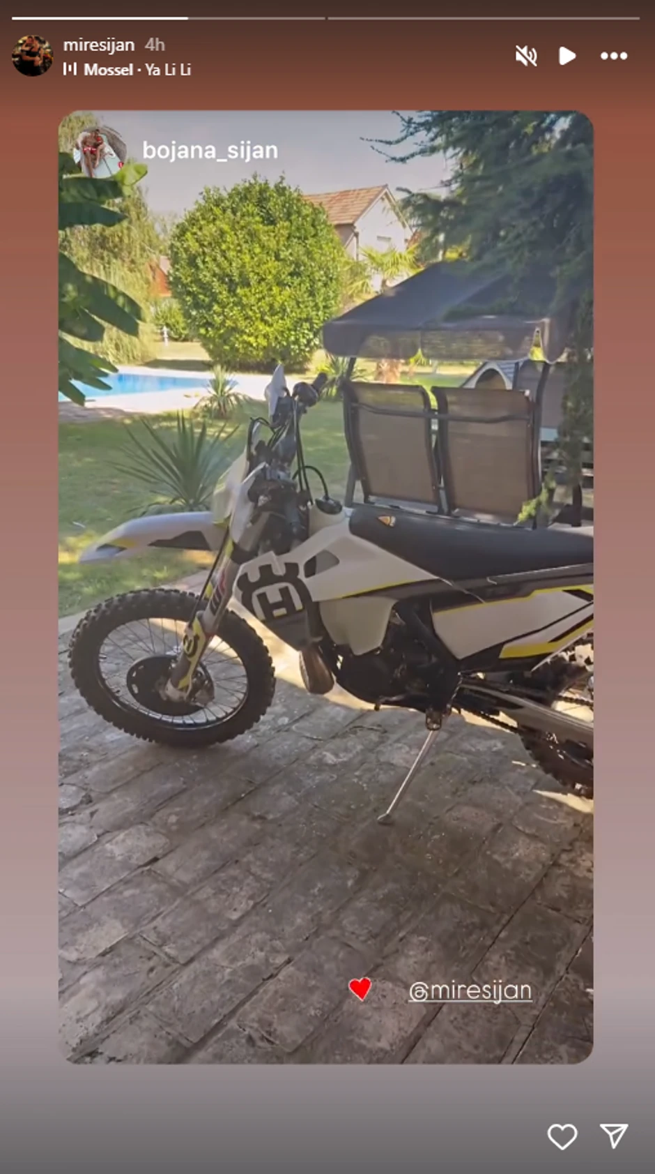 Mirko Šijan, objava