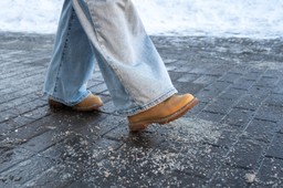 skutki posypywania chodników solą mogą być tragiczne. naukowcy apelują