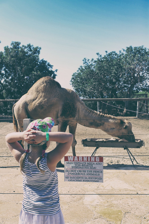 Zoo w Pafos