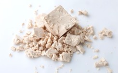 Probiotyki - dlaczego są ważne w naszej diecie?