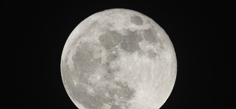 Holecka nazywa Księżyc planetą. Jej wpadka wpisuje się w "klimat". Gowin usunął astronomię z listy dyscyplin naukowych