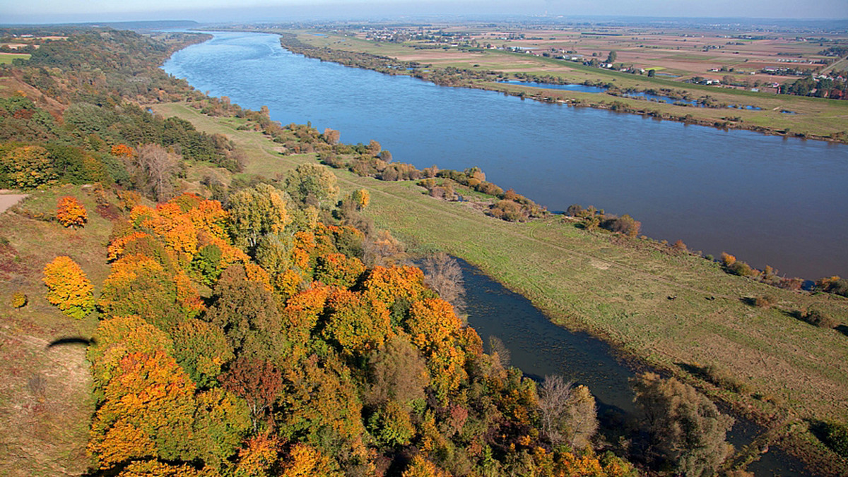 Jesienią Dolina Dolnej Wisły staje się krainą obfitości. Rumiane jabłka, fioletowe śliwki, żółte gruszki. Owoców w bród, a we wsiach festyny kuszą słodkim smakiem świeżo wysmażonych powideł. Wszystko to w malowniczej dolinie otaczającej rzekę między Bydgoszczą i Gniewem.