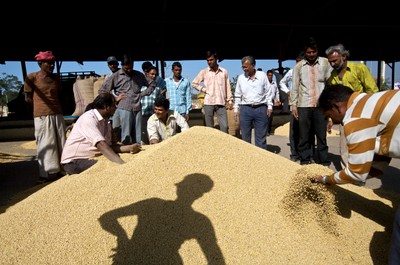 UE dopuściła do sprzedaży kolejną odmianę soi GMO