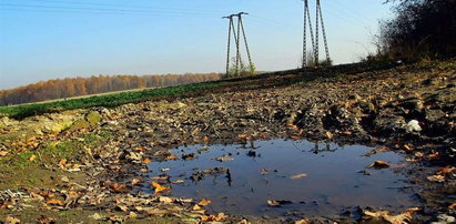 Zamiast cudów klepisko w Zabrzu