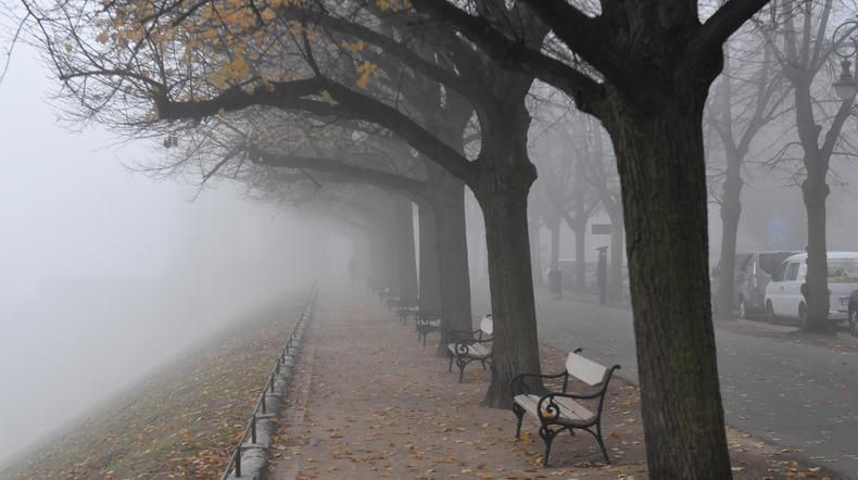 Mgła w Szczecinie