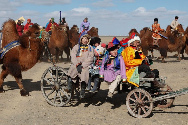 The Wider Image: Mongolia's camel festival