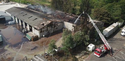 Skandal z toksycznymi odpadami w Zielonej Górze to czubek góry lodowej. Onet ujawnił szokujące fakty