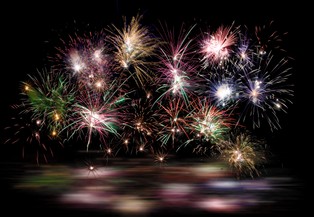 Utrata słuchu, lęk i przerażenie. Petardy i fajerwerki mogą przyczyniać się do śmierci zwierząt