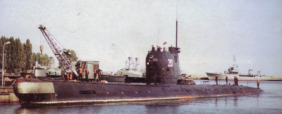 ORP Dzik