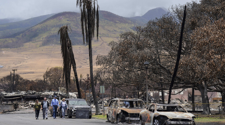 További 66 embert keresnek még 1 hónappal a hawaii tűzvész után / Fotó: Northfoto