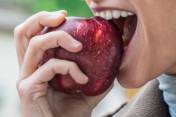 alma, almehéj rák, megelőzés  flavonoidok antioxidáns gyulladáscsökkentő
