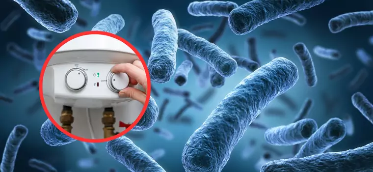 Nie tylko legionella. Osiem bakterii, których powinna obawiać się ludzkość