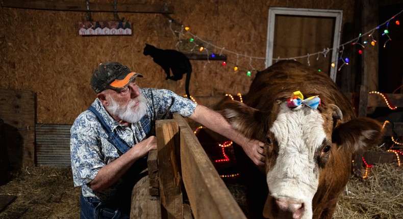 A farmer pets the head of his cow during a cow cuddle session at Luz Farms near Monee, Illinois.Jim Vondruska/Reuters