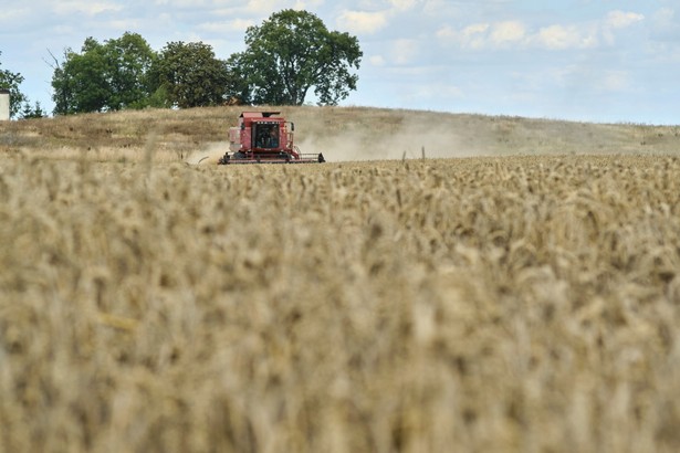 Jesteśmy rozczarowani decyzją Unii Europejskiej w sprawie nieprzedłużenia embarga na import zbóż do 5 krajów UE; wygląda na to, że Unia nie myśli o budowie mechanizmów na przyszłość - powiedział w poniedziałek w Brukseli minister rolnictwa RP Robert Telus.