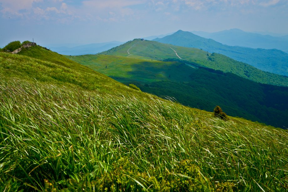 Bieszczady to jeden z najbardziej dzikich i tajemniczych zakątków Polski