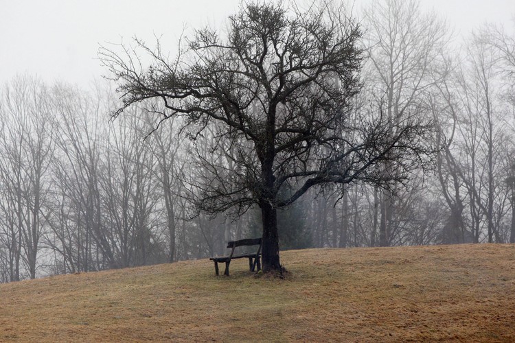 Posiadłość Janusza Palikota w Dzierwanach na Sulwaszczyźnie