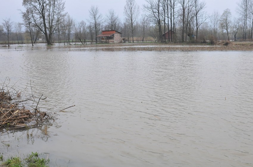 Zapadna Morava izlila se u okolini Kraljeva