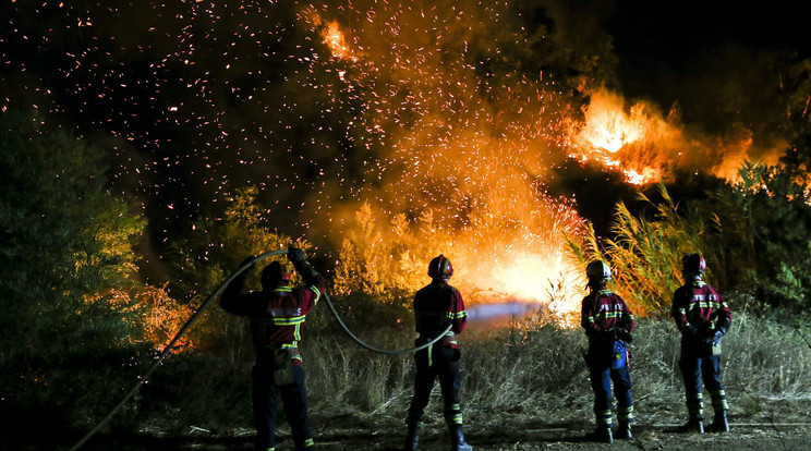 Feléget mindent a tűz / Fotó: MTI