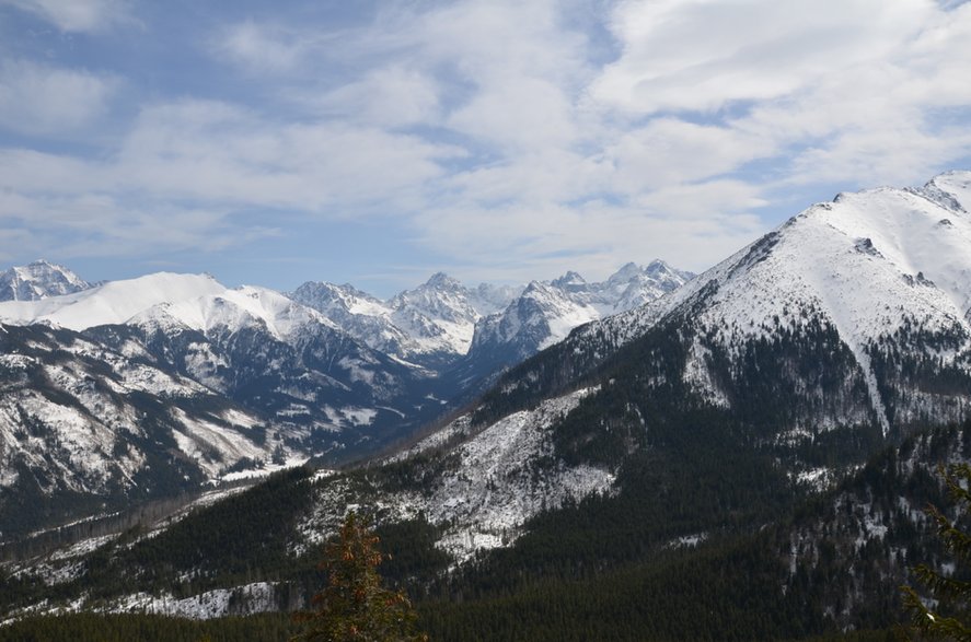 Widok na Tatry Wysokie z Gęsiej Szyi